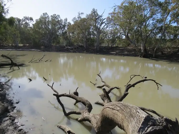 Seventh view of Homely rural property listing, 83 Billabong Creek Drive, Conargo NSW 2710