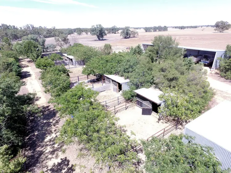 Fourth view of Homely rural property listing, 94 LLOYDS LANE, Deniliquin NSW 2710