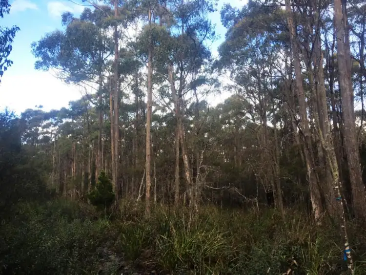Second view of Homely rural property listing, . Lady Bay Road, Southport TAS 7109