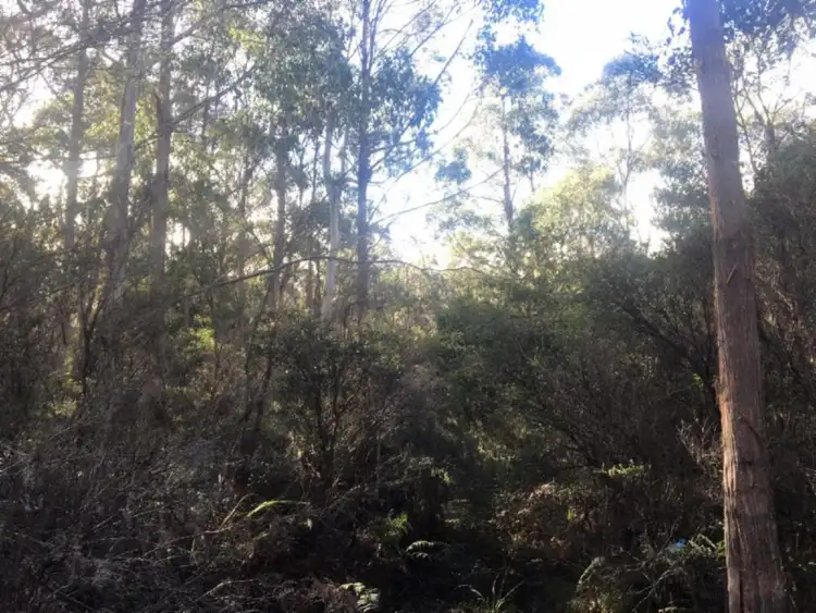 Third view of Homely rural property listing, . Lady Bay Road, Southport TAS 7109