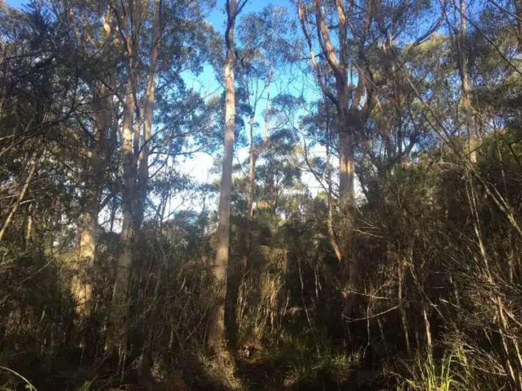 Fourth view of Homely rural property listing, . Lady Bay Road, Southport TAS 7109