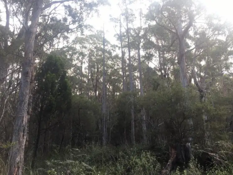 Fifth view of Homely rural property listing, . Lady Bay Road, Southport TAS 7109