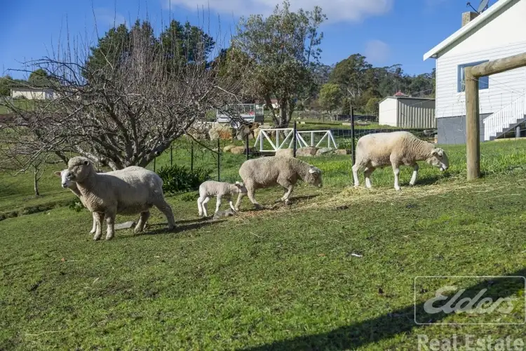 Fifth view of Homely house listing, 24 Mountain Road, Lilydale TAS 7268