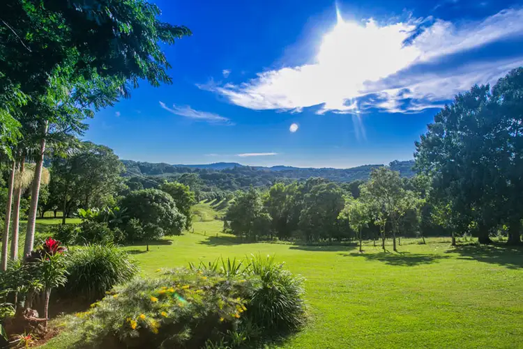 Third view of Homely rural property listing, # 4 Repentance Creek Road, Rosebank NSW 2480