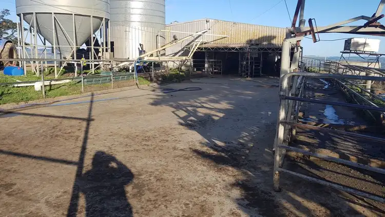 Sixth view of Homely rural property listing, 1560 MARDAN ROAD, Mardan VIC 3953