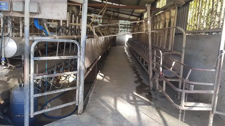 Seventh view of Homely rural property listing, 1560 MARDAN ROAD, Mardan VIC 3953