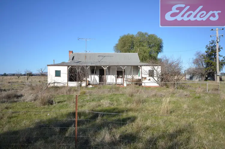 Second view of Homely rural property listing, 4064 Olympic Highway, Henty NSW 2658