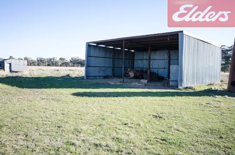 Third view of Homely rural property listing, 4064 Olympic Highway, Henty NSW 2658