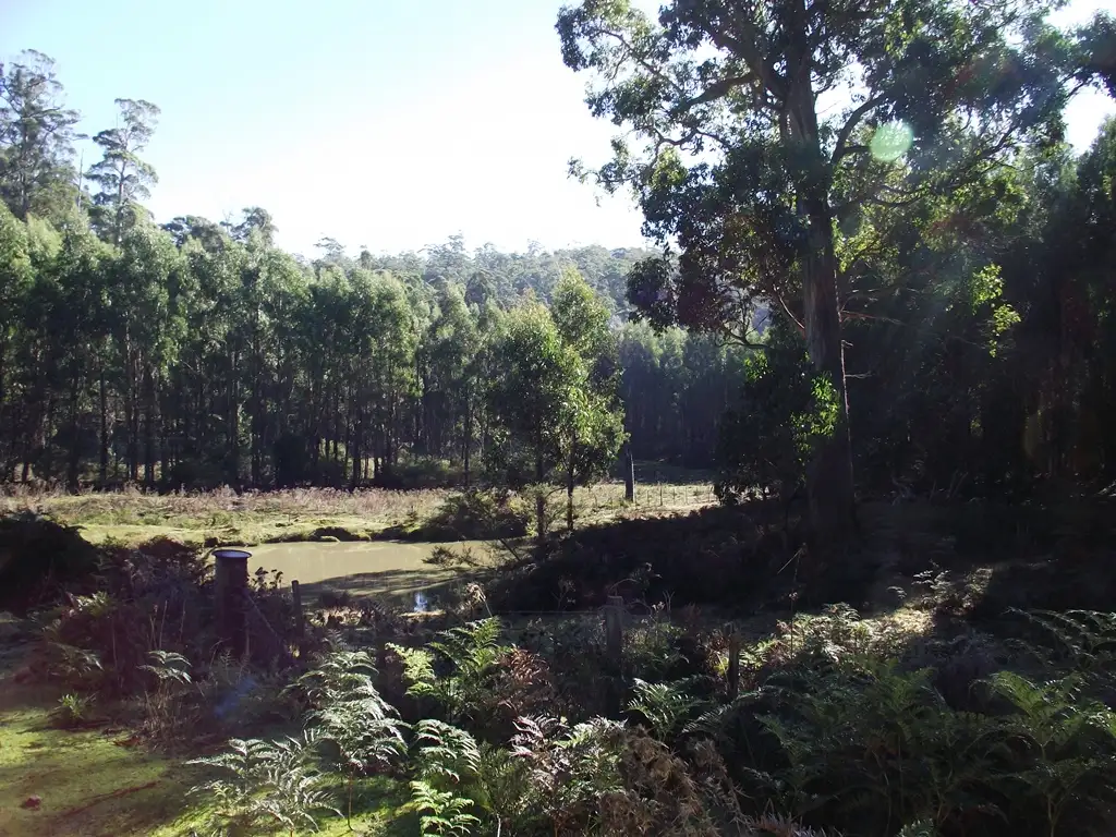 Main view of Homely rural property listing, . Dam Road, Saltwater River TAS 7186