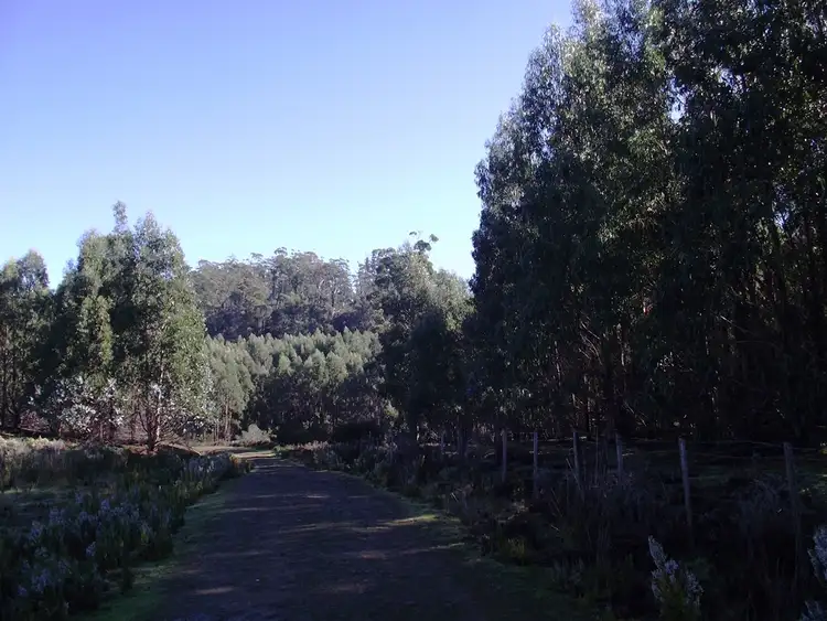 Fourth view of Homely rural property listing, . Dam Road, Saltwater River TAS 7186