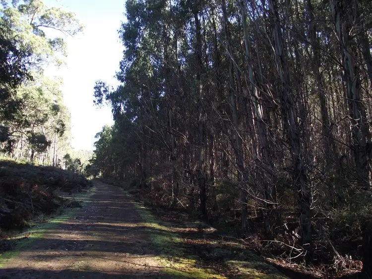 Fifth view of Homely rural property listing, . Dam Road, Saltwater River TAS 7186