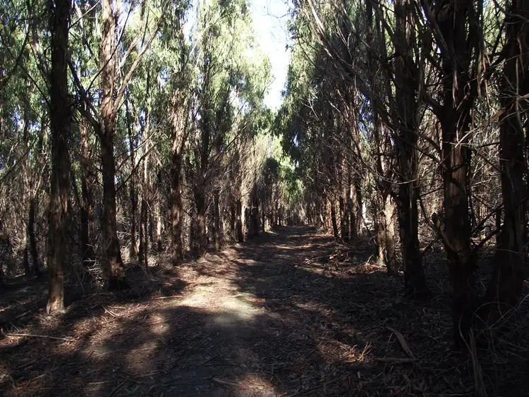 Sixth view of Homely rural property listing, . Dam Road, Saltwater River TAS 7186