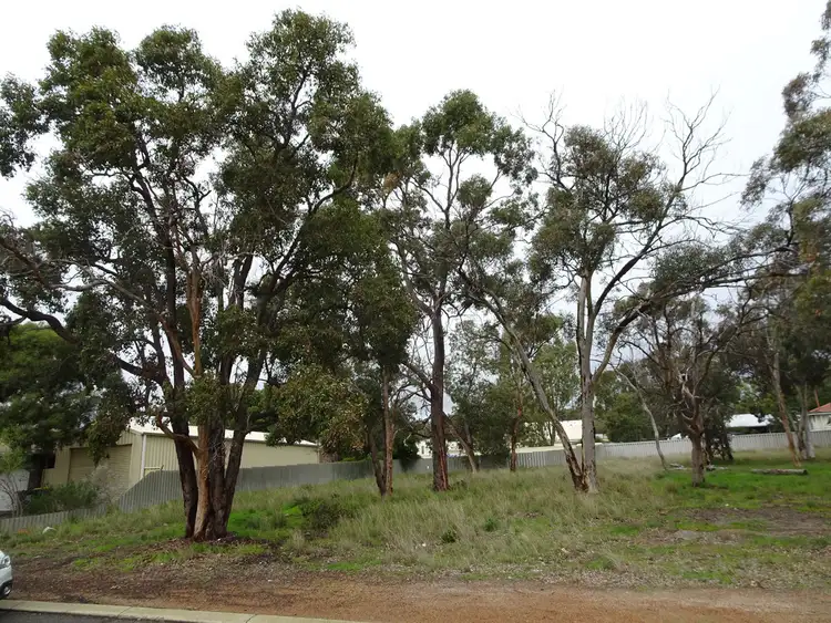 Second view of Homely land listing, 93 Lock St, Narrogin WA 6312