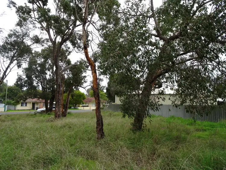 Fourth view of Homely land listing, 93 Lock St, Narrogin WA 6312