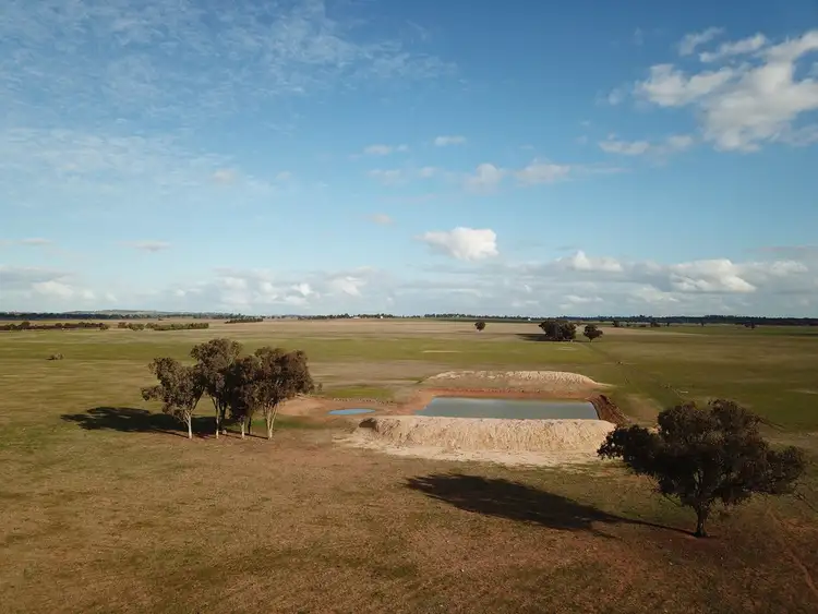 Fifth view of Homely rural property listing, 449 Dyces Lane, Coolamon NSW 2701