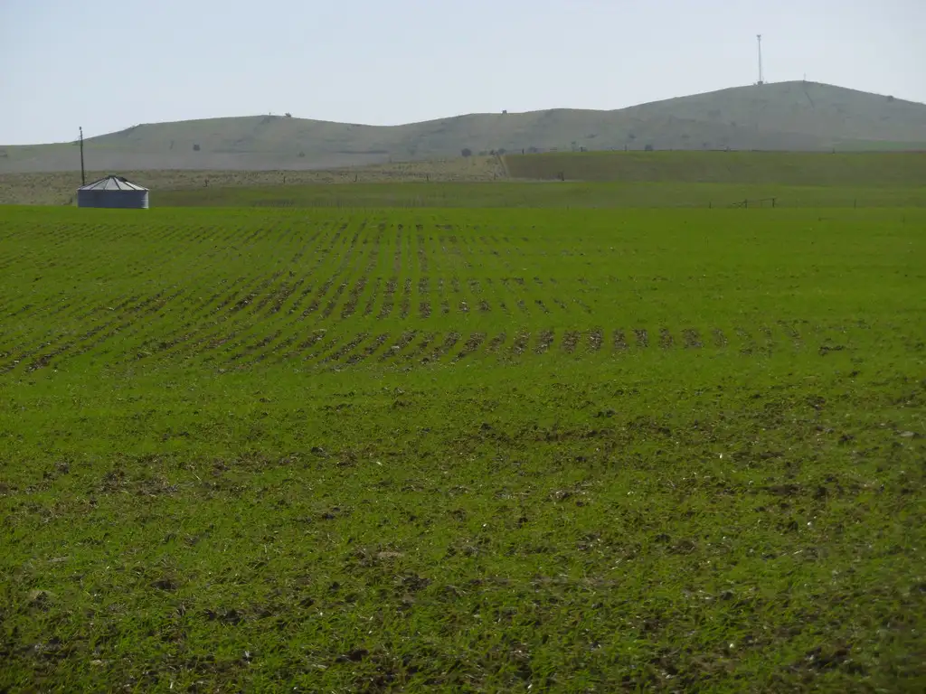Main view of Homely rural property listing, - Dempseys, Jamestown SA 5491
