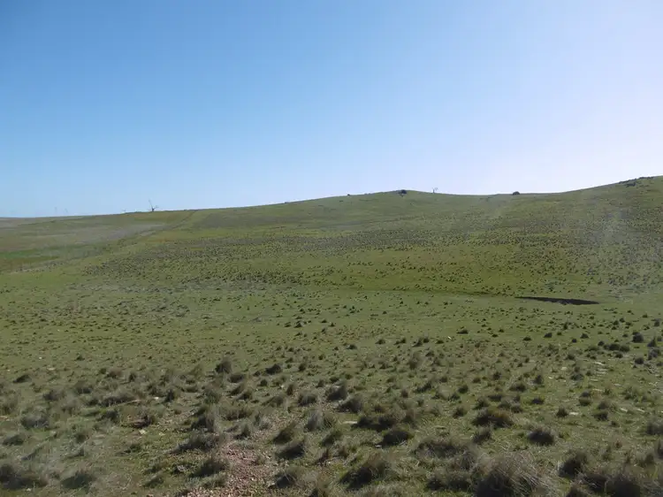 Sixth view of Homely rural property listing, - Dempseys, Jamestown SA 5491