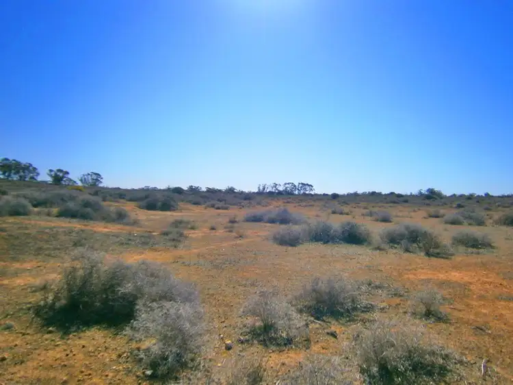 Second view of Homely rural property listing, Lot 264 Stock Route Road, Morgan SA 5320