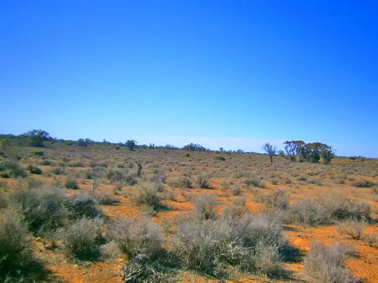 Sixth view of Homely rural property listing, Lot 264 Stock Route Road, Morgan SA 5320