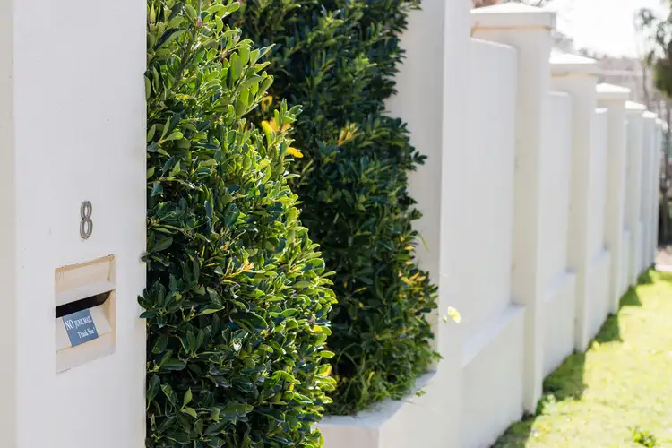 Fifth view of Homely house listing, 8 Jarred Street, Mclaren Vale SA 5171