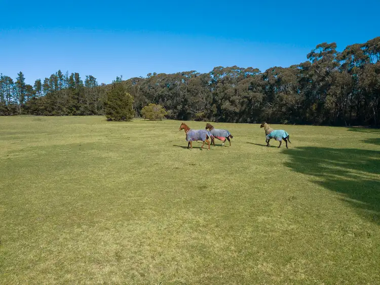 Second view of Homely land listing, 14 Mannings Lookout Road, Fitzroy Falls NSW 2577