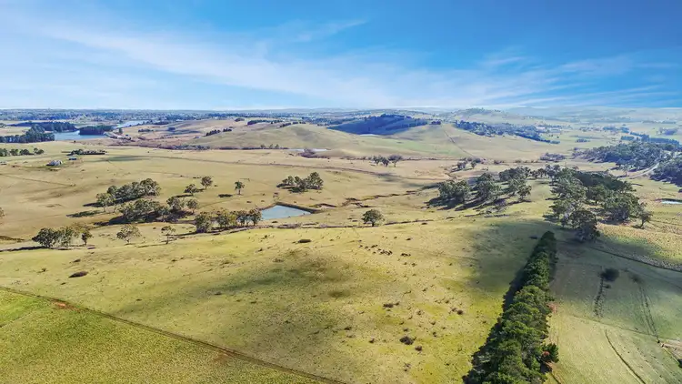 Seventh view of Homely rural property listing, 149 Summer Hill Lane, Orange NSW 2800