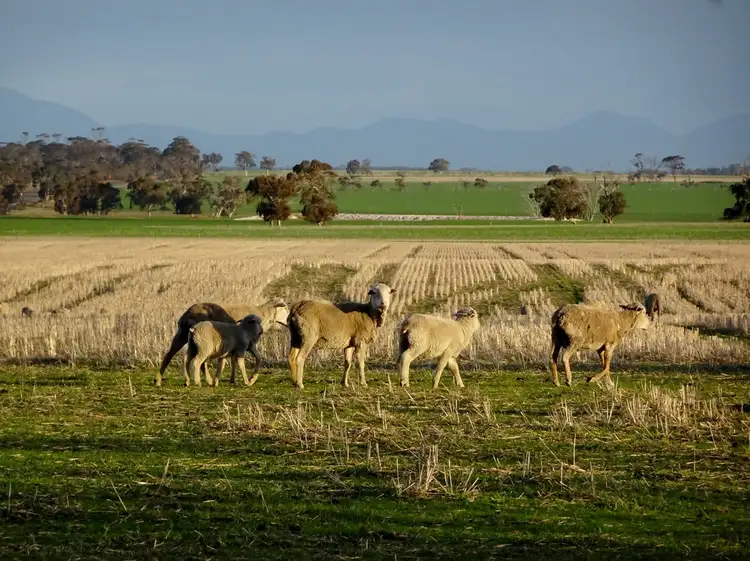 Main view of Homely rural property listing, "CWMAVON" 2616 Pallinup Rd, Gnowangerup WA 6335