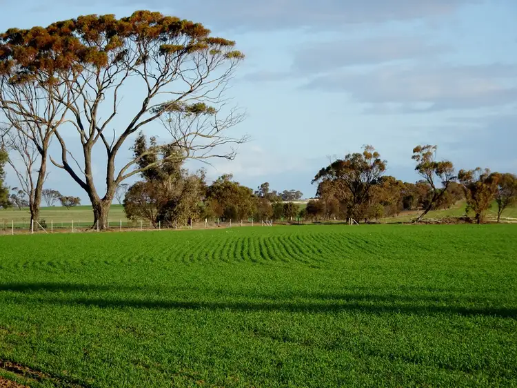 Fourth view of Homely rural property listing, "CWMAVON" 2616 Pallinup Rd, Gnowangerup WA 6335