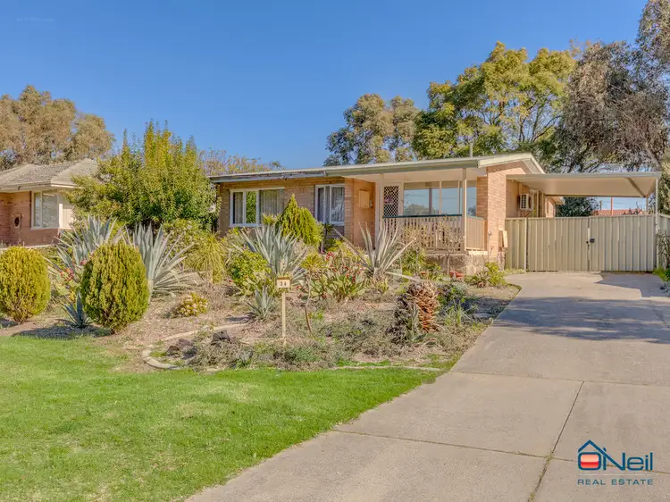 36 Hollybush Way, Kelmscott WA 6111