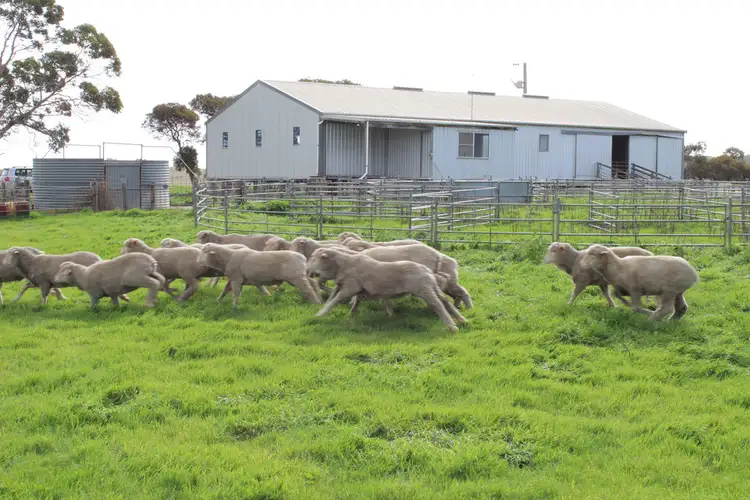 Second view of Homely rural property listing, 907 Pascoe Road, Coonalpyn SA 5265