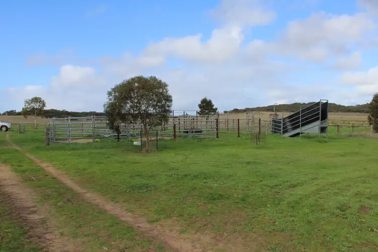 Fifth view of Homely rural property listing, 907 Pascoe Road, Coonalpyn SA 5265