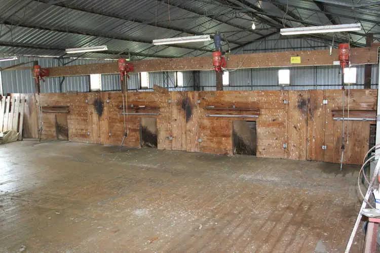 Seventh view of Homely rural property listing, 907 Pascoe Road, Coonalpyn SA 5265