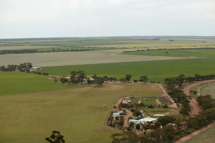 Fifth view of Homely rural property listing, 4919 Soldiers Road, Narembeen WA 6369
