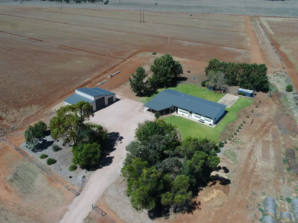Main view of Homely rural property listing, Farm 2149 Houghton Road, Whitton NSW 2705