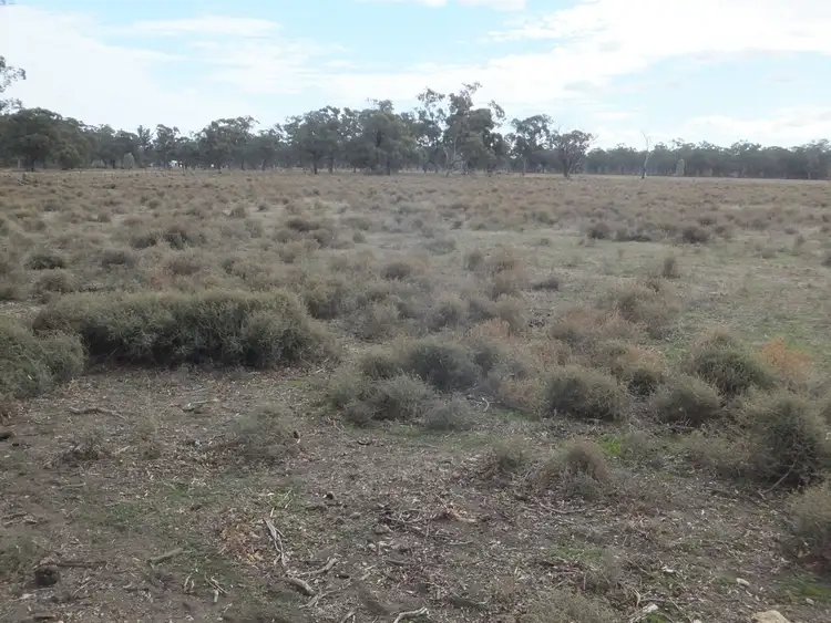 Seventh view of Homely rural property listing, Lot1579 Sandhills Road, Forbes NSW 2871