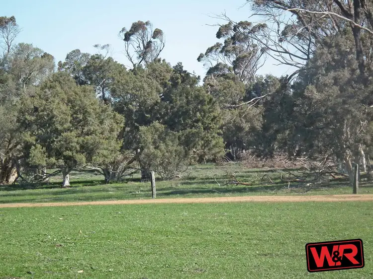 Sixth view of Homely rural property listing, 346 Lake Barnes Road, Narrikup WA 6326
