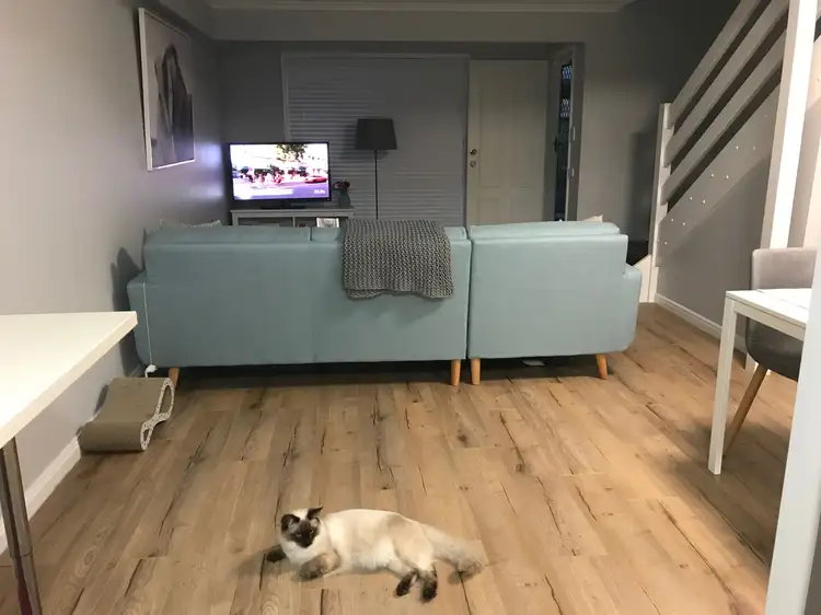 Third view of Homely townhouse listing, 69/125 Pappas Way, Nerang QLD 4211