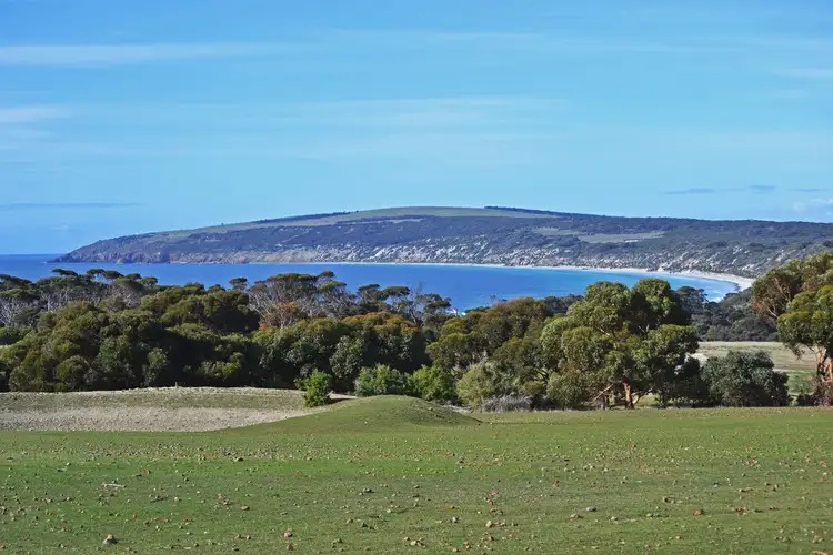Main view of Homely rural property listing, 222 Porter Road, Emu Bay SA 5223