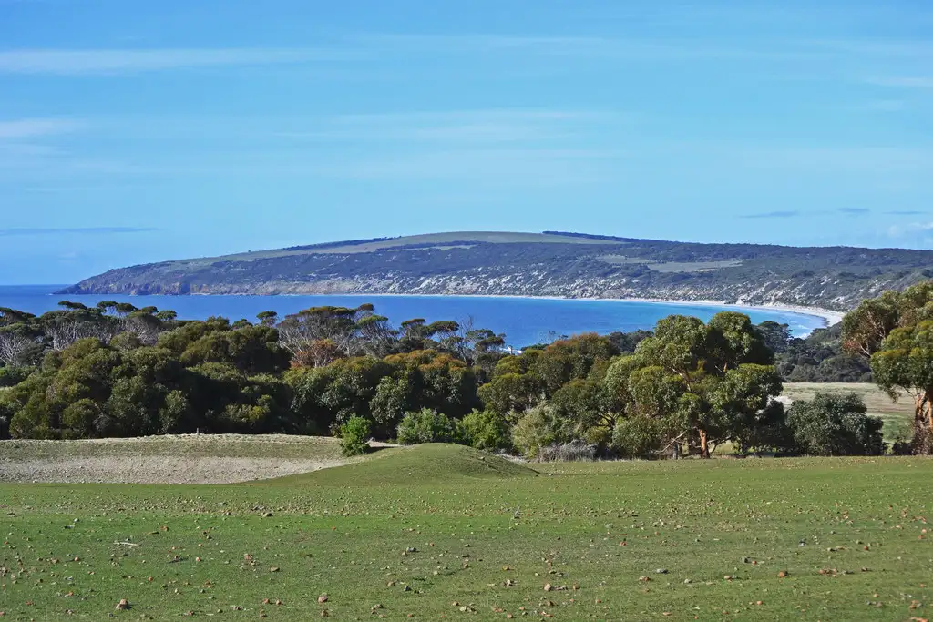 Main view of Homely rural property listing, 222 Porter Road, Emu Bay SA 5223
