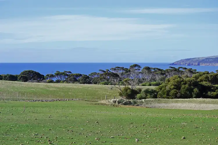 Fourth view of Homely rural property listing, 222 Porter Road, Emu Bay SA 5223