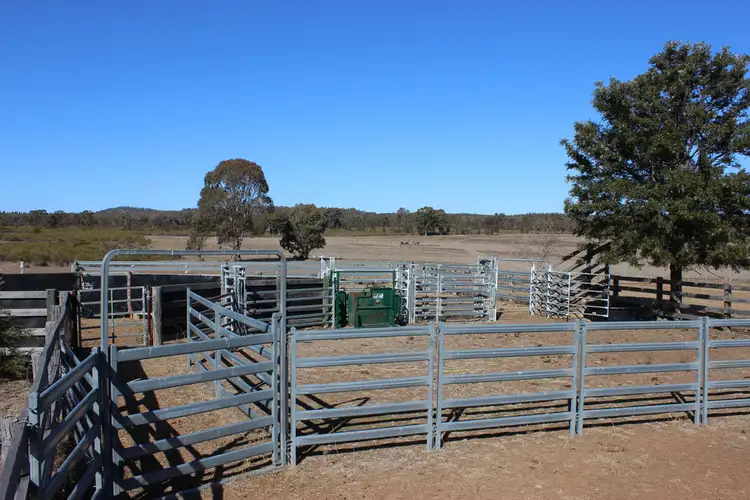Third view of Homely rural property listing, 'Kimberley' Dennykymine Road, Merrygoen NSW 2831
