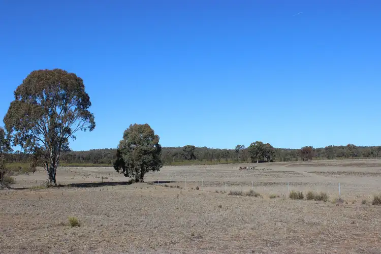 Fourth view of Homely rural property listing, 'Kimberley' Dennykymine Road, Merrygoen NSW 2831