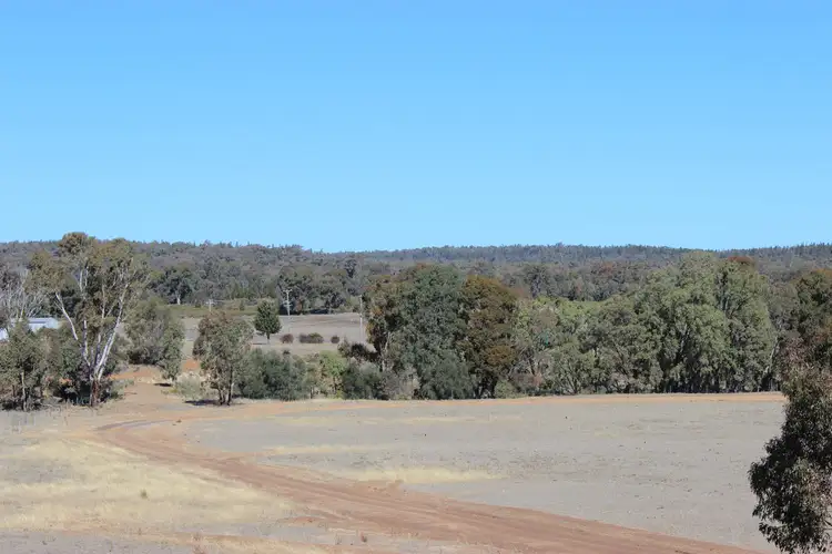 Sixth view of Homely rural property listing, 'Kimberley' Dennykymine Road, Merrygoen NSW 2831