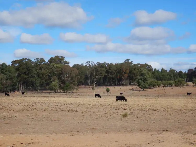 Seventh view of Homely rural property listing, 'Kimberley' Dennykymine Road, Merrygoen NSW 2831