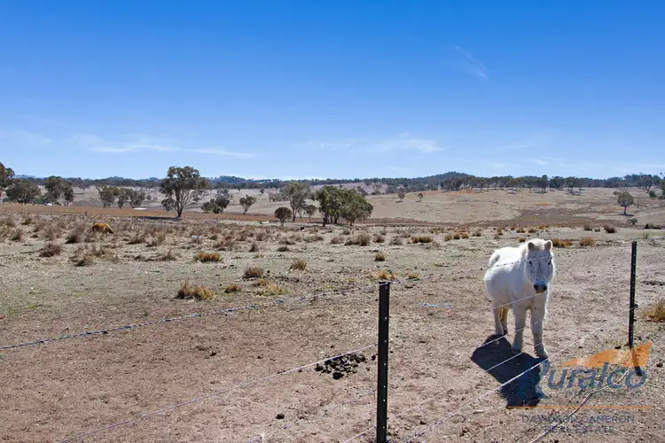 Fifth view of Homely house listing, Echo Springs 4454 Oxley Highway, Bendemeer NSW 2355