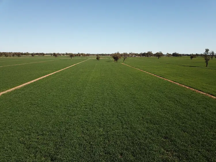 Fifth view of Homely rural property listing, 535 Aratula South Road, Deniliquin NSW 2710