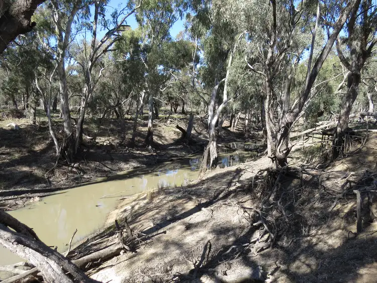 Sixth view of Homely rural property listing, 535 Aratula South Road, Deniliquin NSW 2710
