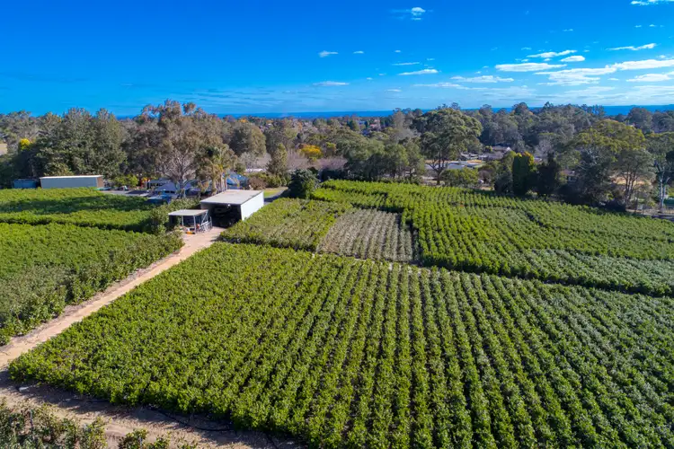 Fourth view of Homely rural property listing, 18 Cairnes Road, Glenorie NSW 2157