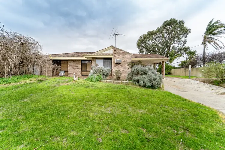 Main view of Homely house listing, 36 Wonambi Way, Wanneroo WA 6065