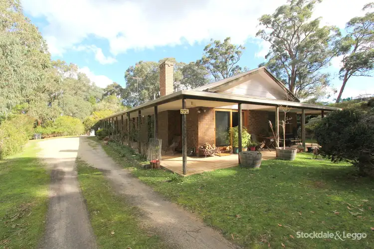 Main view of Homely rural property listing, 55 Pioneer Road, Boolarra VIC 3870